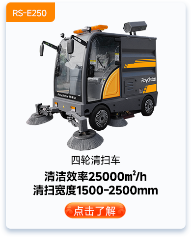 四轮清扫车RS-E250